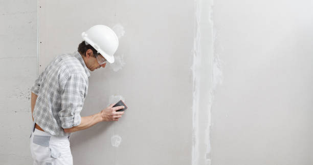 Best Drywall Sanding and Smoothing  in New Hempstead, NY